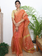 Chanderi Pure handwoven Coin Motifs Saree