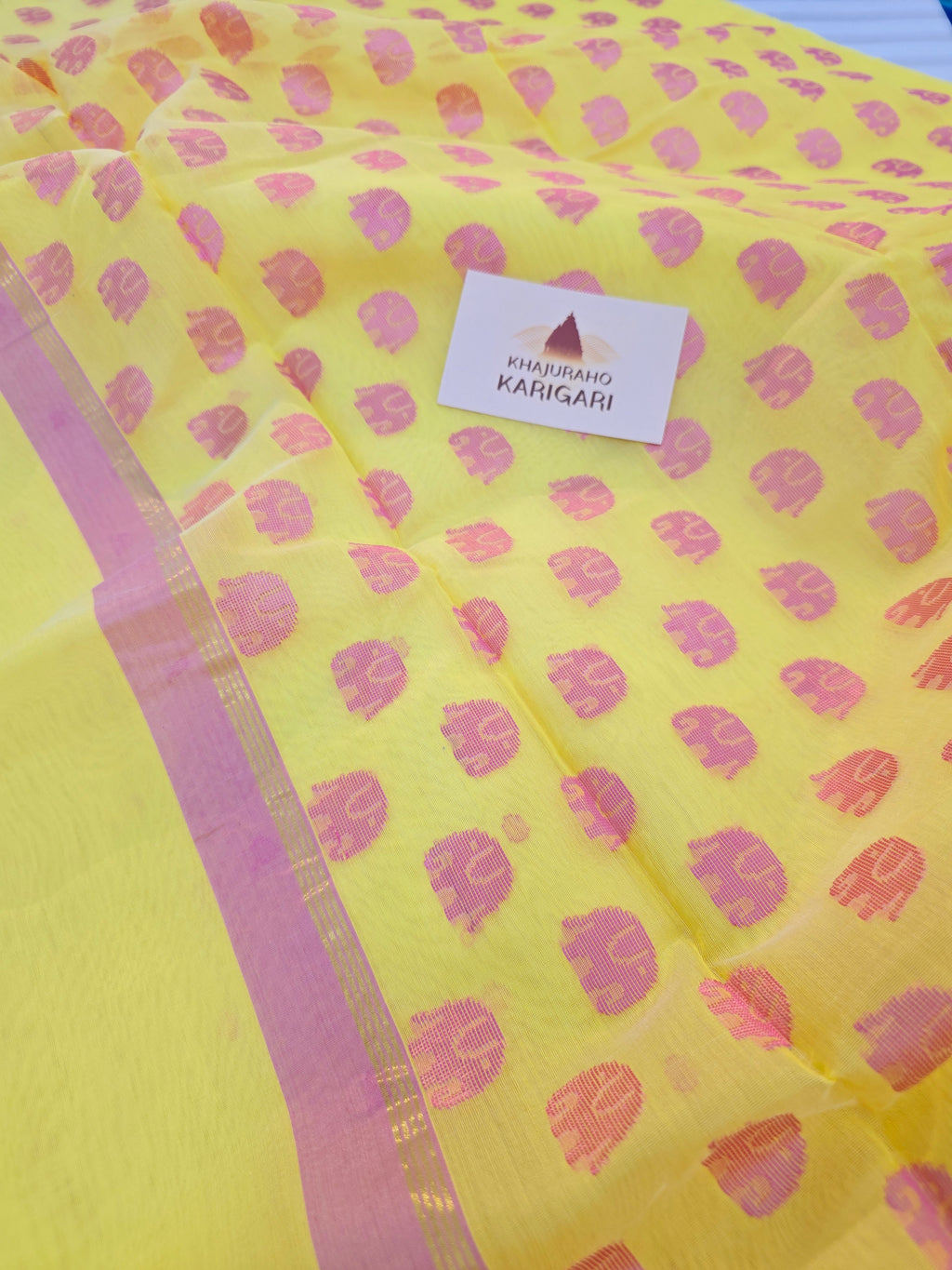 Pure handwoven Chanderi Silk Cotton Saree Polka Dot hathi boota on pallu