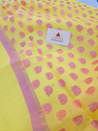 Pure handwoven Chanderi Silk Cotton Saree Polka Dot hathi boota on pallu