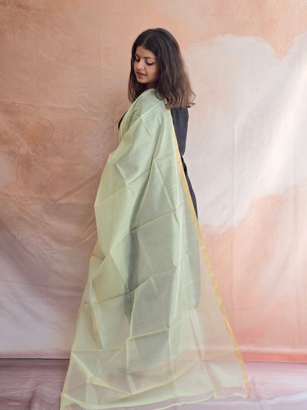 Handwoven Chanderi Silk-Cotton Dupatta with Zari Border - Pista Green