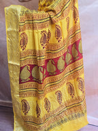 Bagh Hand Block Printed Dola Silk Saree | Yellow